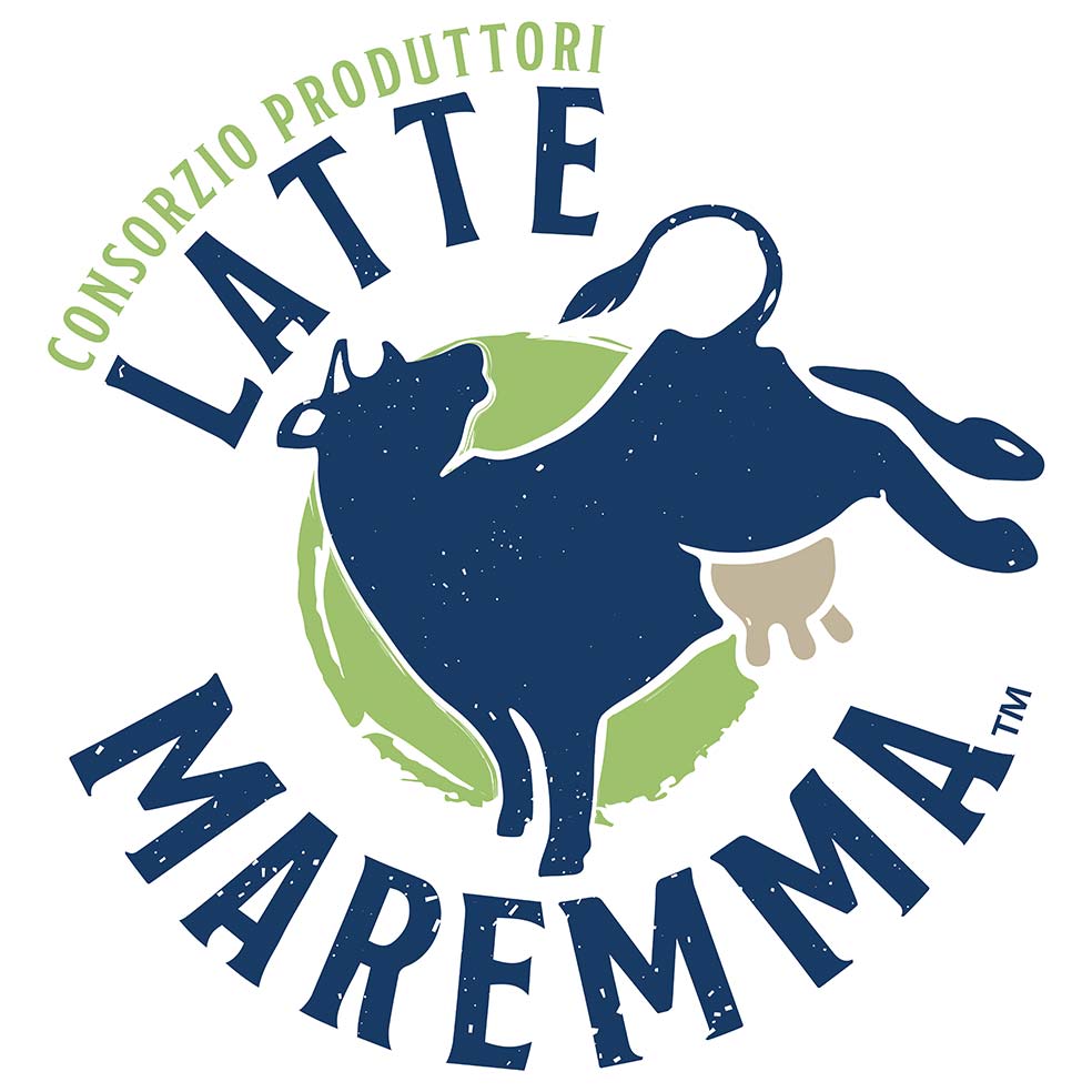 c_materiale_logo_rs_logo-2